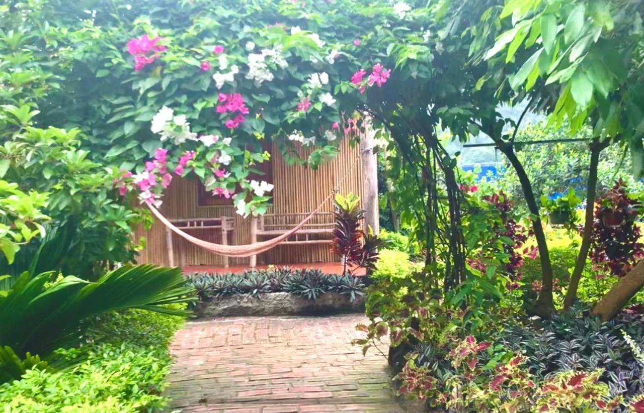 Chan Chau Lan Homestay المظهر الخارجي الصورة